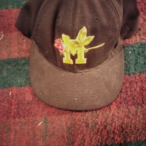 3 Michigan Wolverines hats